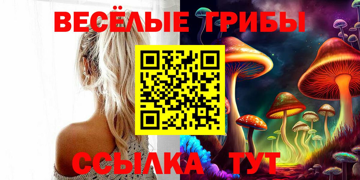 Галлюциногенные грибы мицелий  цена наркотик  Обь  Вход с VPN 