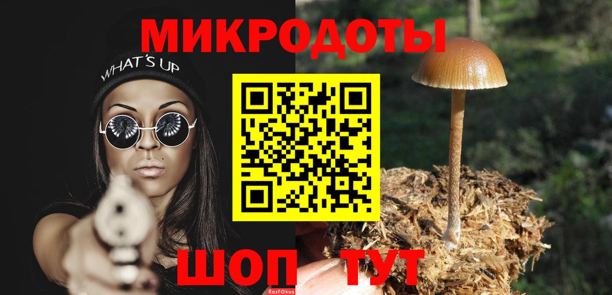 Галлюциногенные грибы Psilocybe Обь